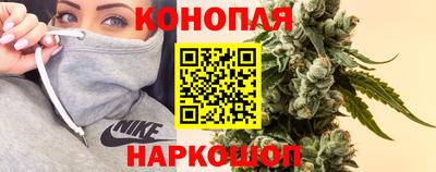стафф Заволжье