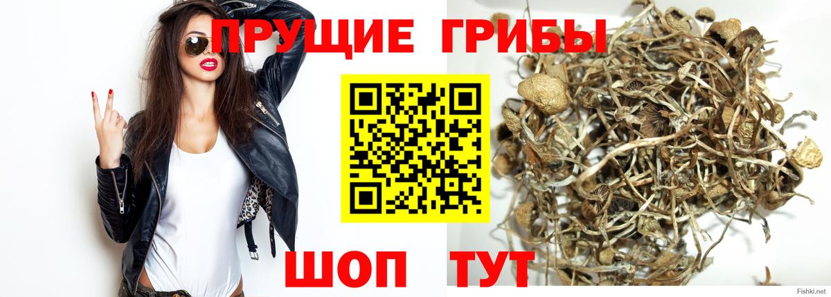 Псилоцибиновые грибы MAGIC MUSHROOMS Калуга