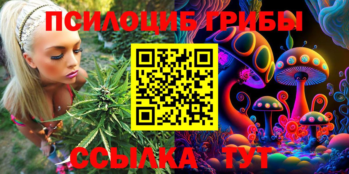 Галлюциногенные грибы прущие грибы  Псилоцибиновые грибы Cubensis  Вход с VPN  Калуга 